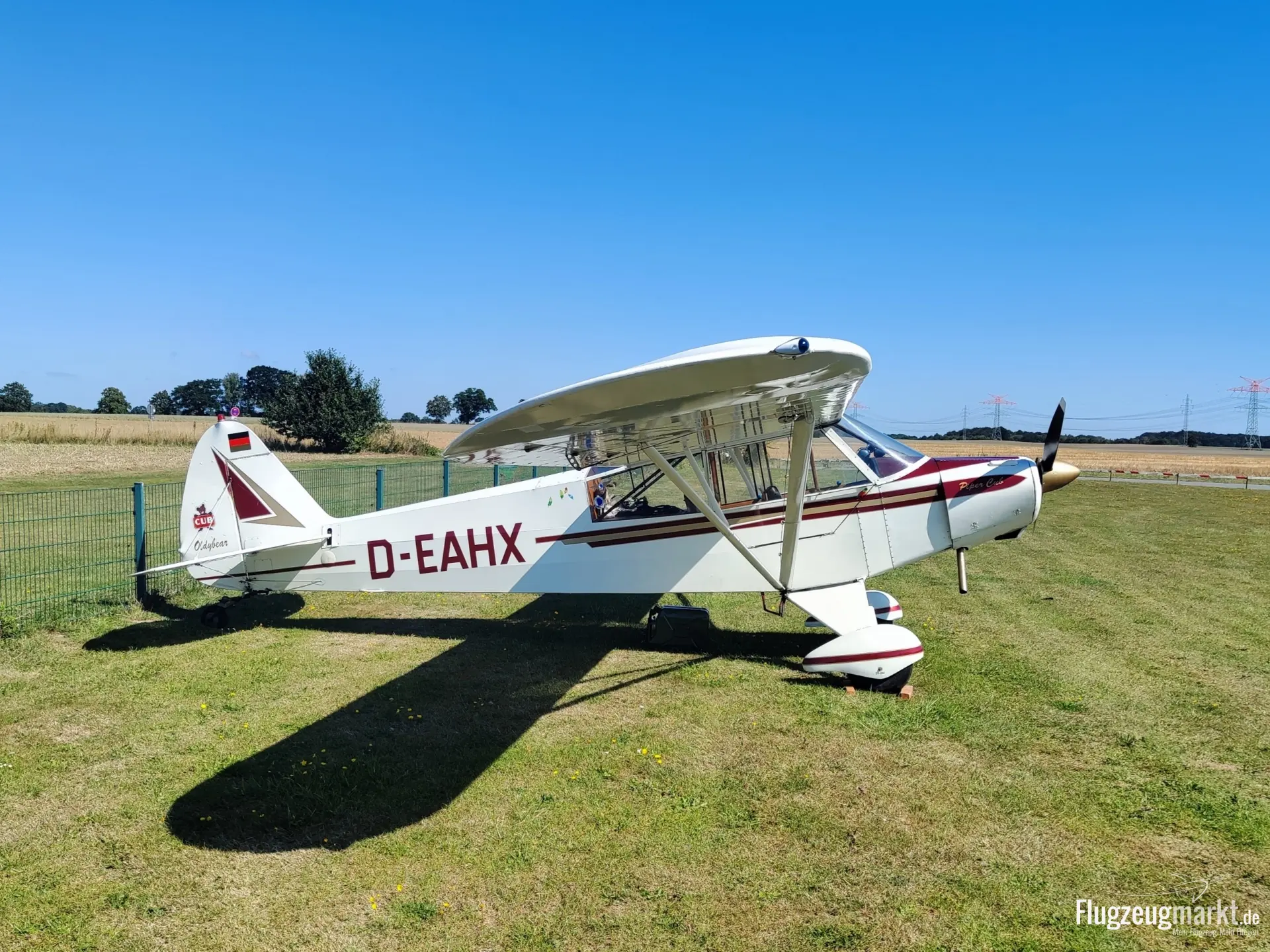 Piper Aircraft PA-18-95 Super Cub (Motorflugzeug) - Bild 1