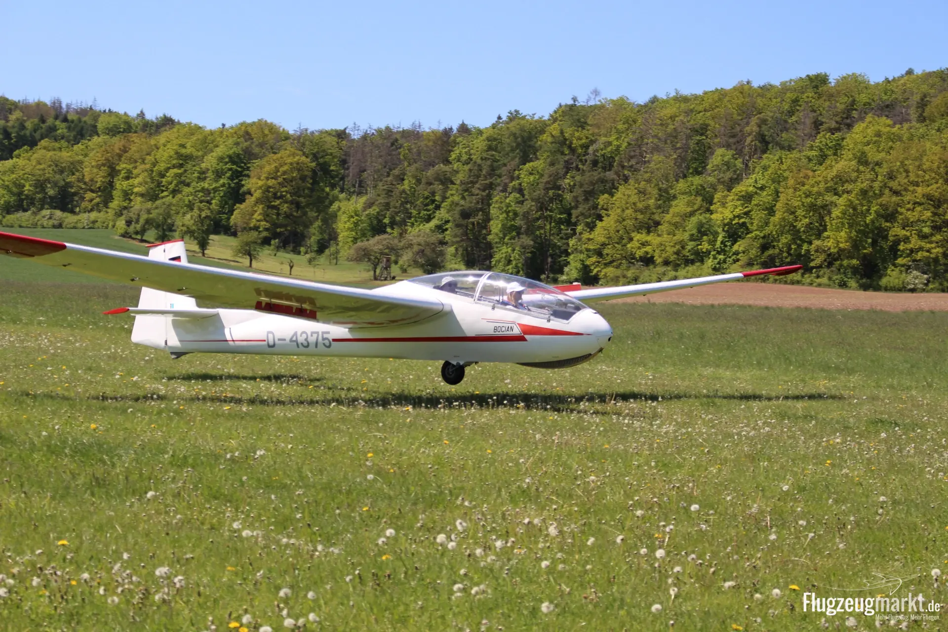 PZL Bielsko SZD-9 Bocian (Segelflugzeug) - Bild 1
