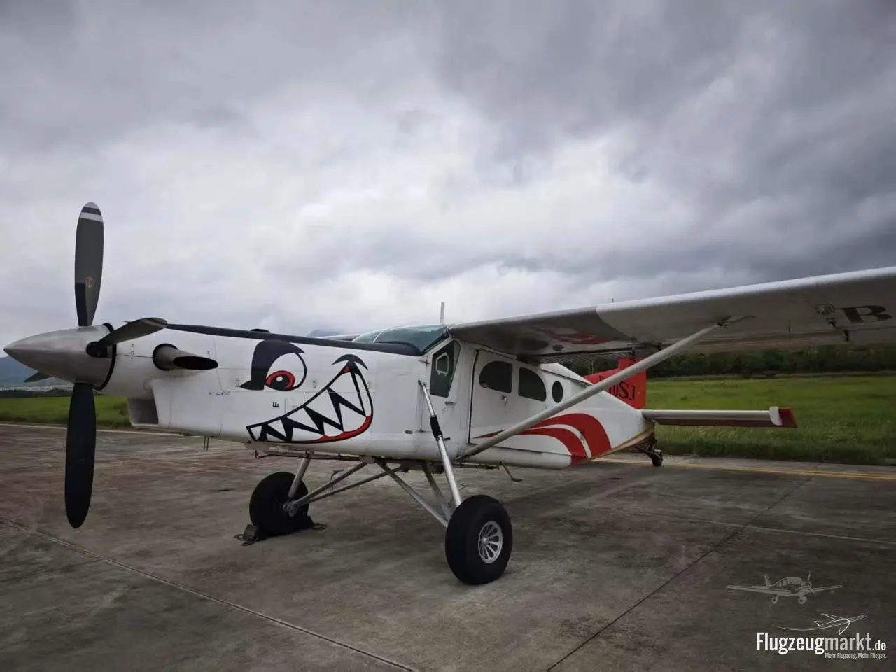 Pilatus PC-6 B2-H4 Turbo Porter (Motorflugzeug) - Bild 1