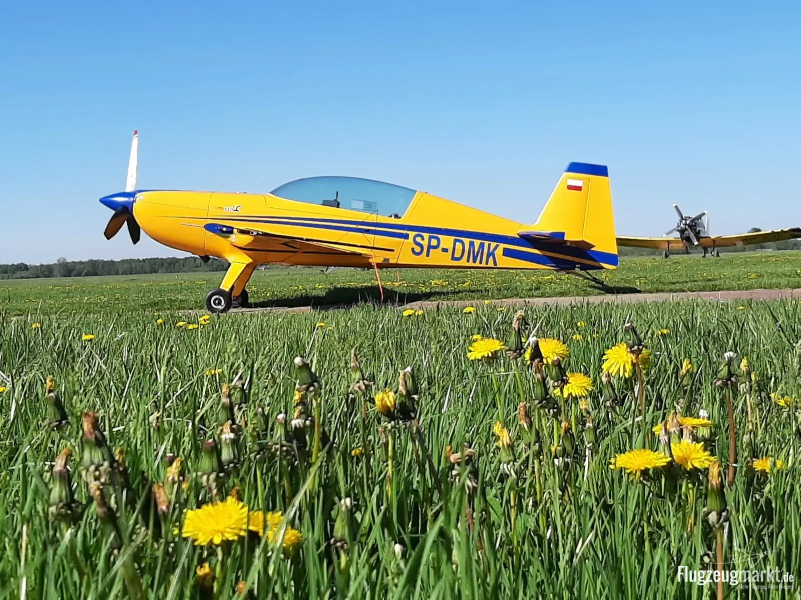 Extra Aircraft Extra 330LC (Motorflugzeug) - Bild 1