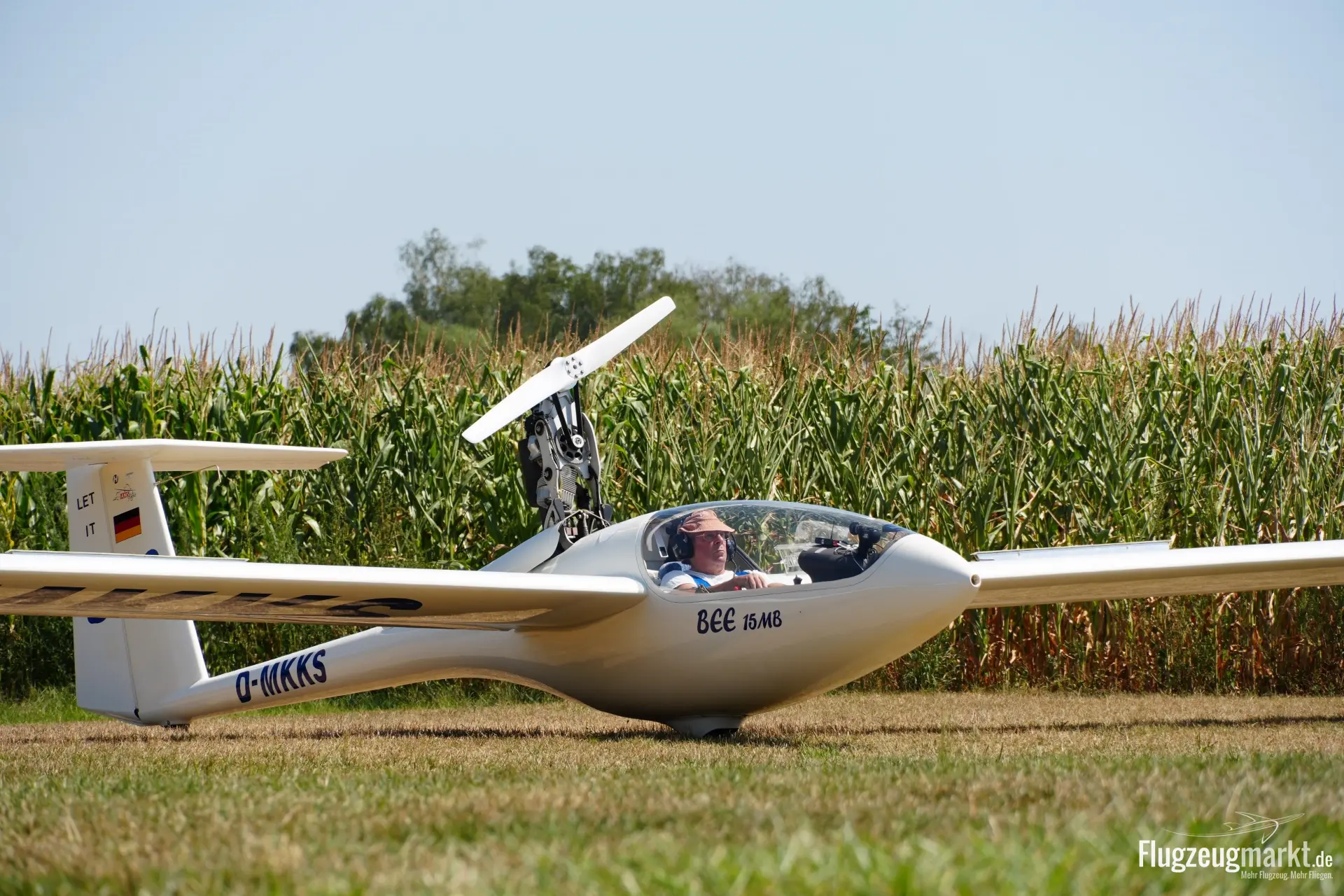 AMS Flight Apis Bee 15MB (Ultraleichtflugzeug) - Bild 1