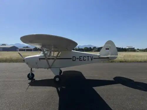 Piper Aircraft PA-22-108 Colt (Motorflugzeug) - Bild 4