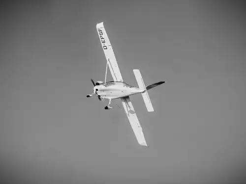 Tecnam P2010 (Motorflugzeug) - Bild 3