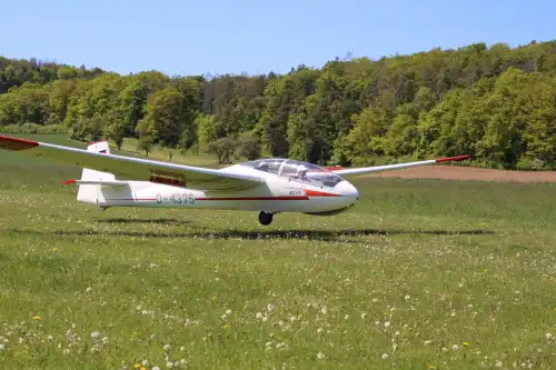 Segelflugzeug SZD-9 Bocian des Herstellers PZL Bielsko