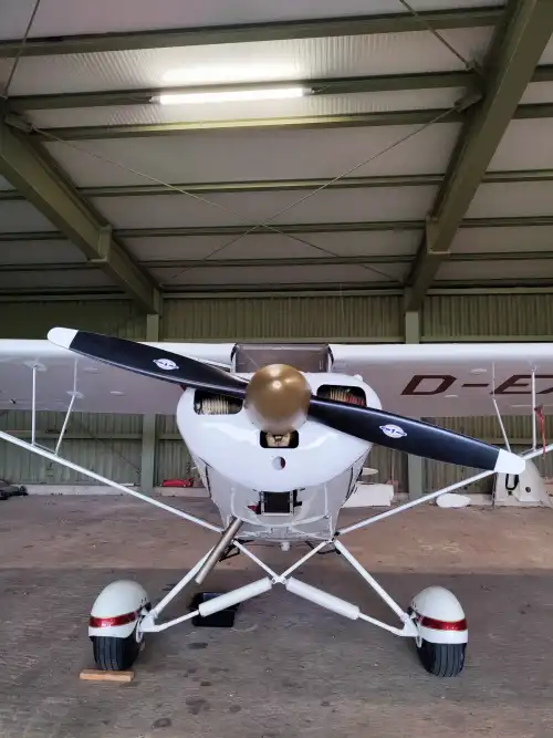 Piper Aircraft PA-18-95 Super Cub (Motorflugzeug) - Bild 6