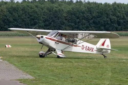 Piper Aircraft PA-18-95 Super Cub (Motorflugzeug) - Bild 8