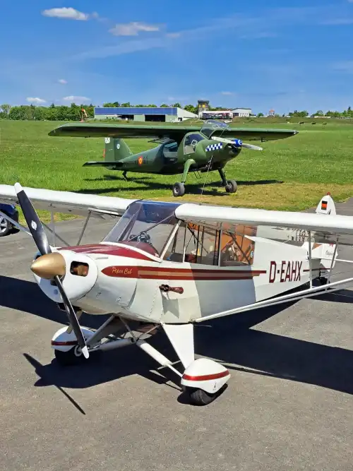 Piper Aircraft PA-18-95 Super Cub (Motorflugzeug) - Bild 9