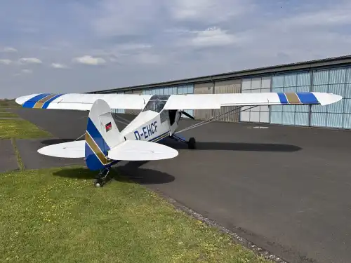 Piper Aircraft PA-18-95 (Motorflugzeug) - Bild 3