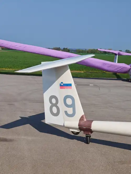 Glaser-Dirks DG-100G ELAN (Segelflugzeug) - Bild 6