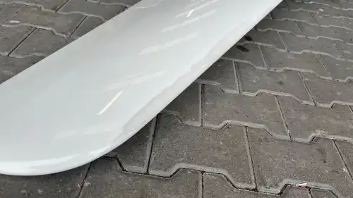 Glaser-Dirks DG-300 (Segelflugzeug) - Bild 7