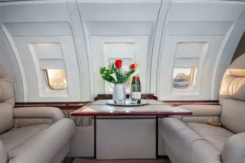 Bombardier Challenger 600 (Jet) - Bild 10