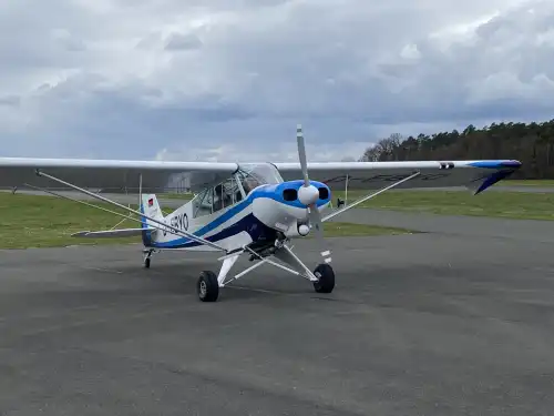 Piper Aircraft PA-18-180 Super Cub (Motorflugzeug) - Bild 8