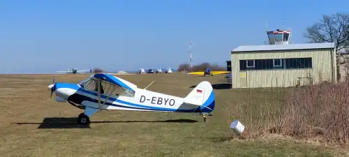 Piper Aircraft PA-18-180 Super Cub (Motorflugzeug) - Bild 3