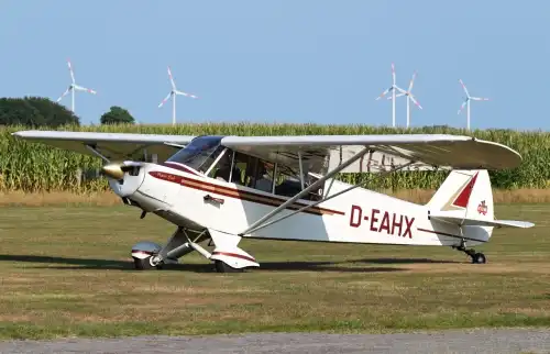 Piper Aircraft PA-18-95 Super Cub (Motorflugzeug) - Bild 2