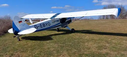 Piper Aircraft PA-18-180 Super Cub (Motorflugzeug) - Bild 2